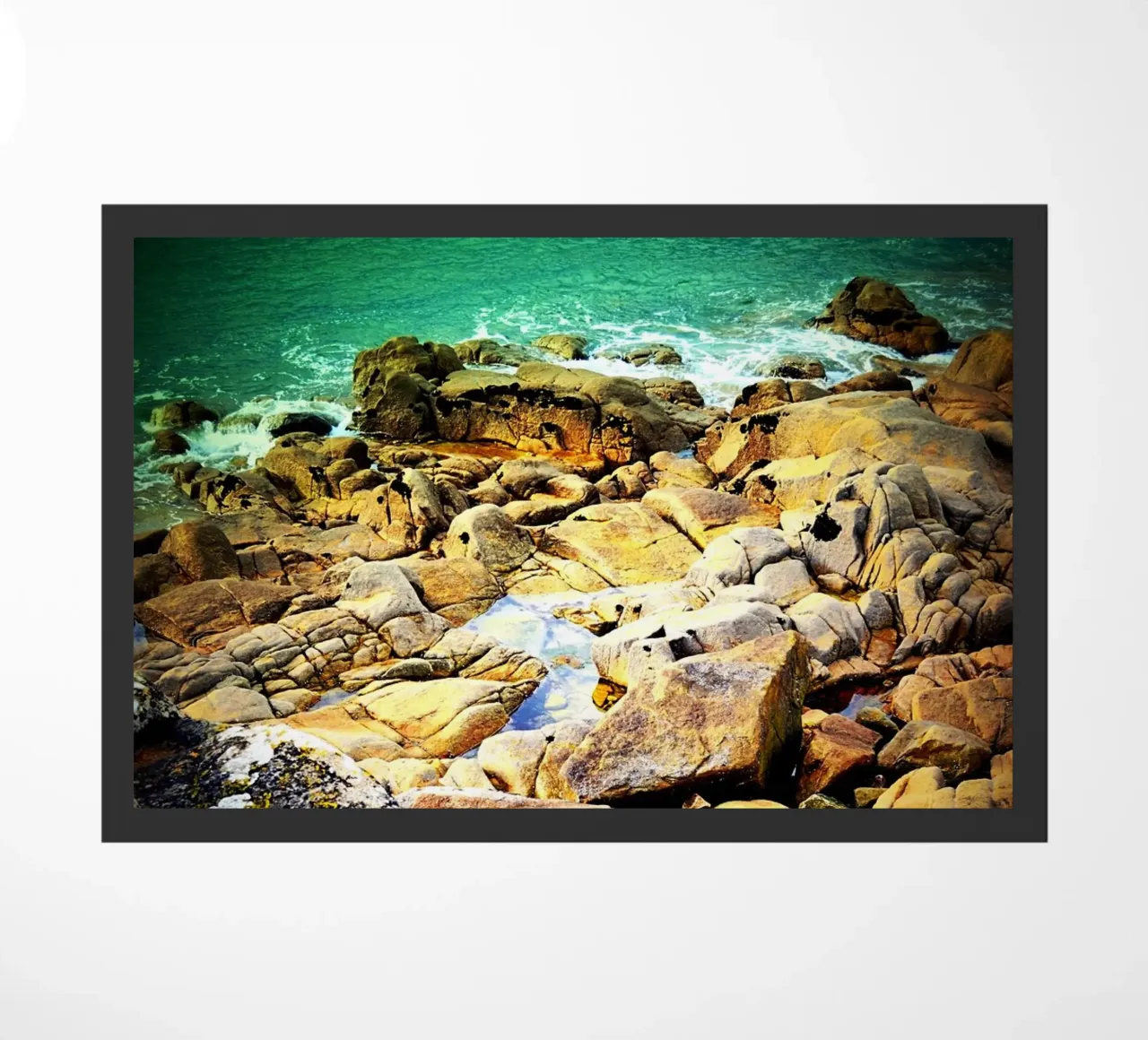 FAA233 zerbino da Thierry vobmann photography