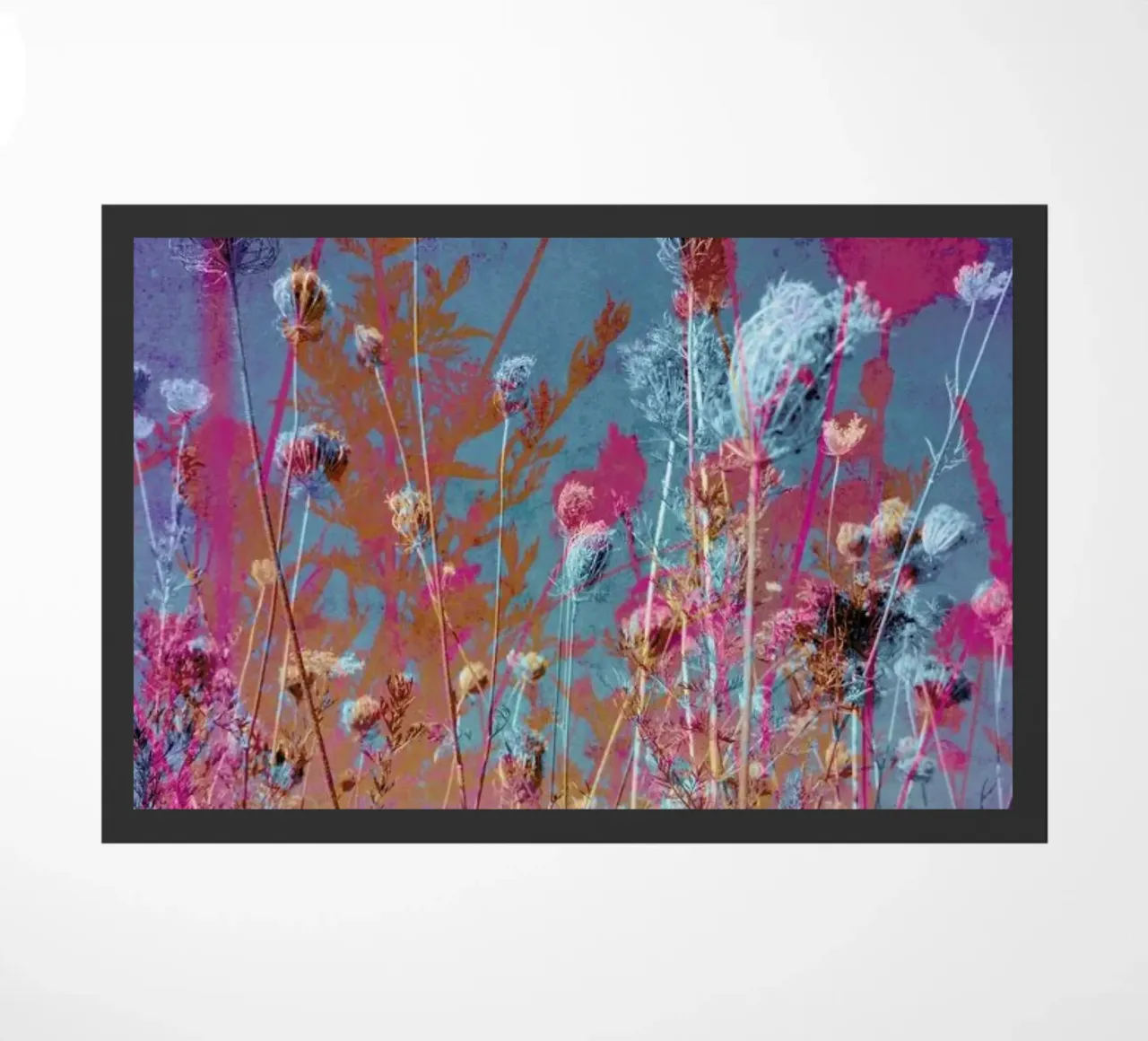 Transformation zerbino da Angelo Cerantola