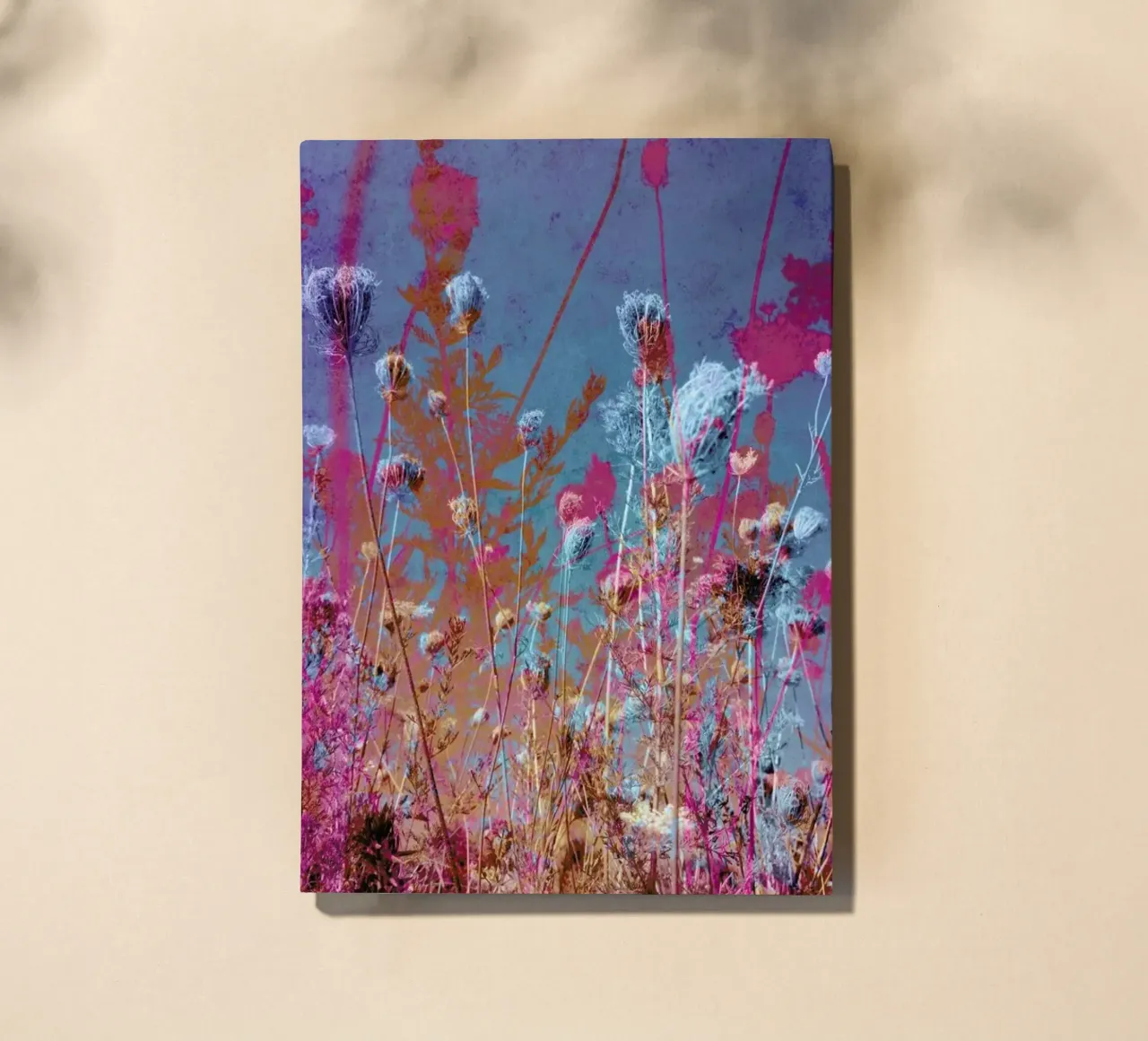 Transformation notebook by Angelo Cerantola