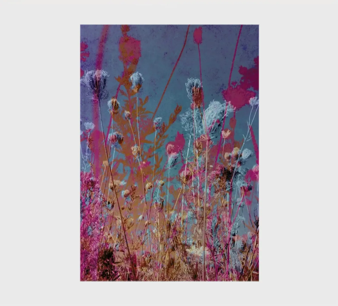 Transformation notebook by Angelo Cerantola