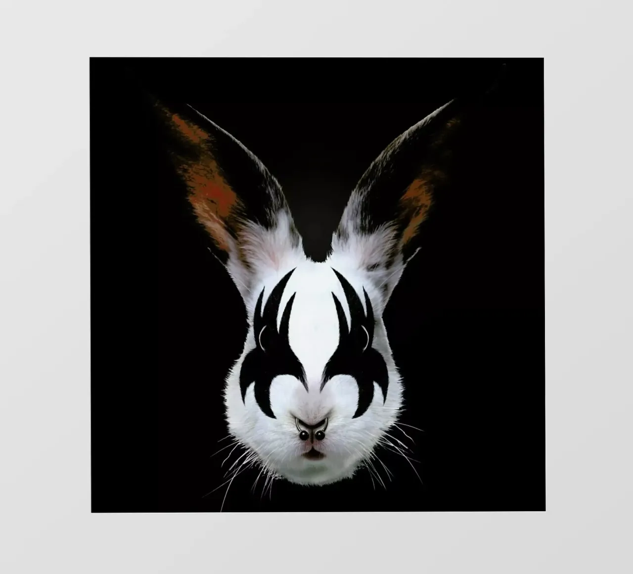 Kiss Of A Rabbit pellicola backlit da Róbert Farkas