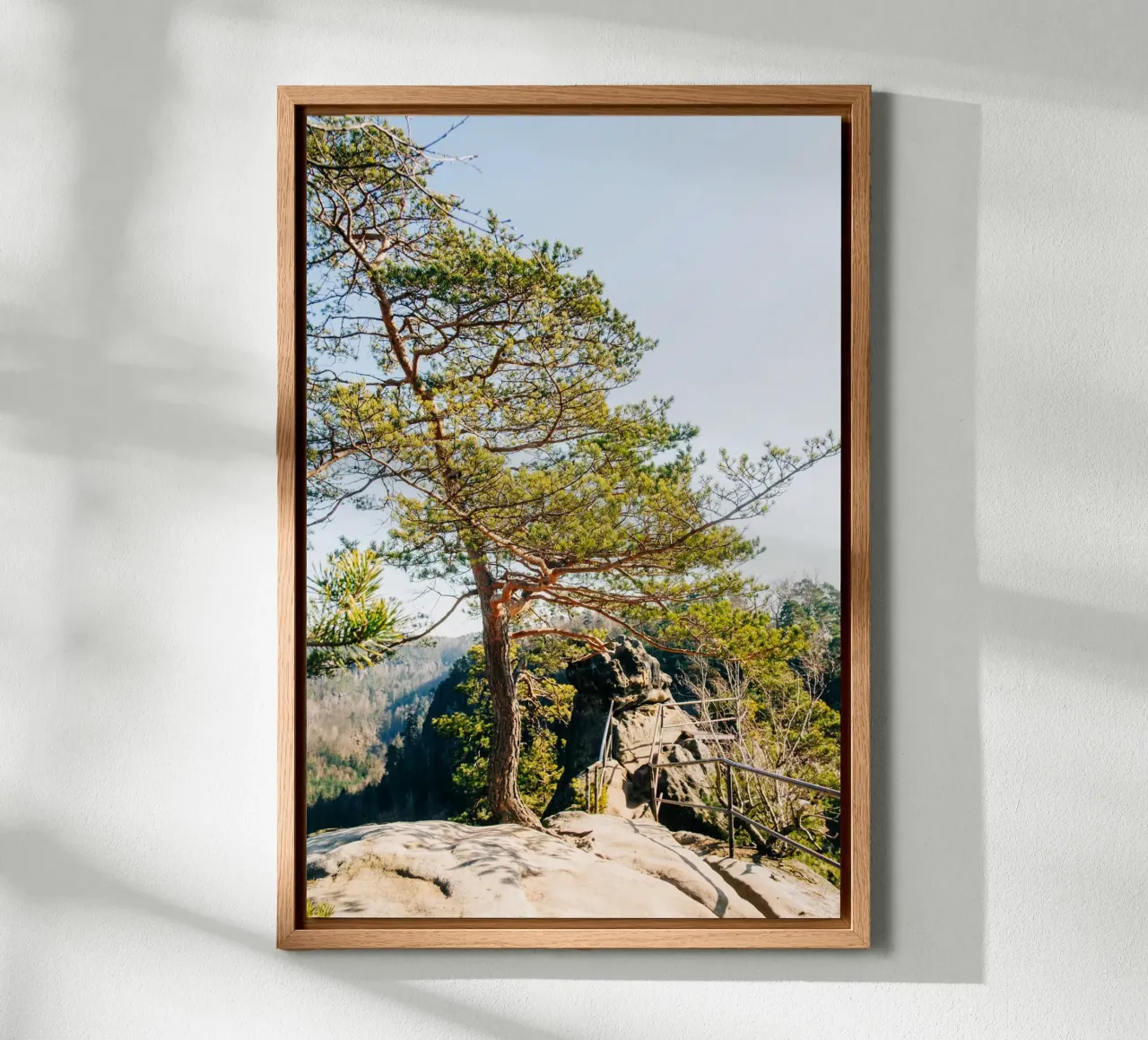 Hiking trail in the mountains - Saxon Switzerland nature photography canvas with Floater frame by Bold and Retro