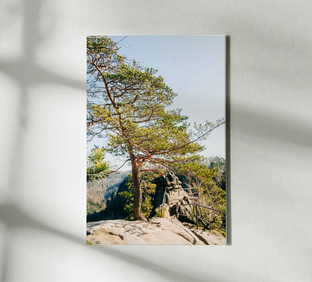 Hiking trail in the mountains - Saxon Switzerland nature photography canvas with Floater frame by Bold and Retro
