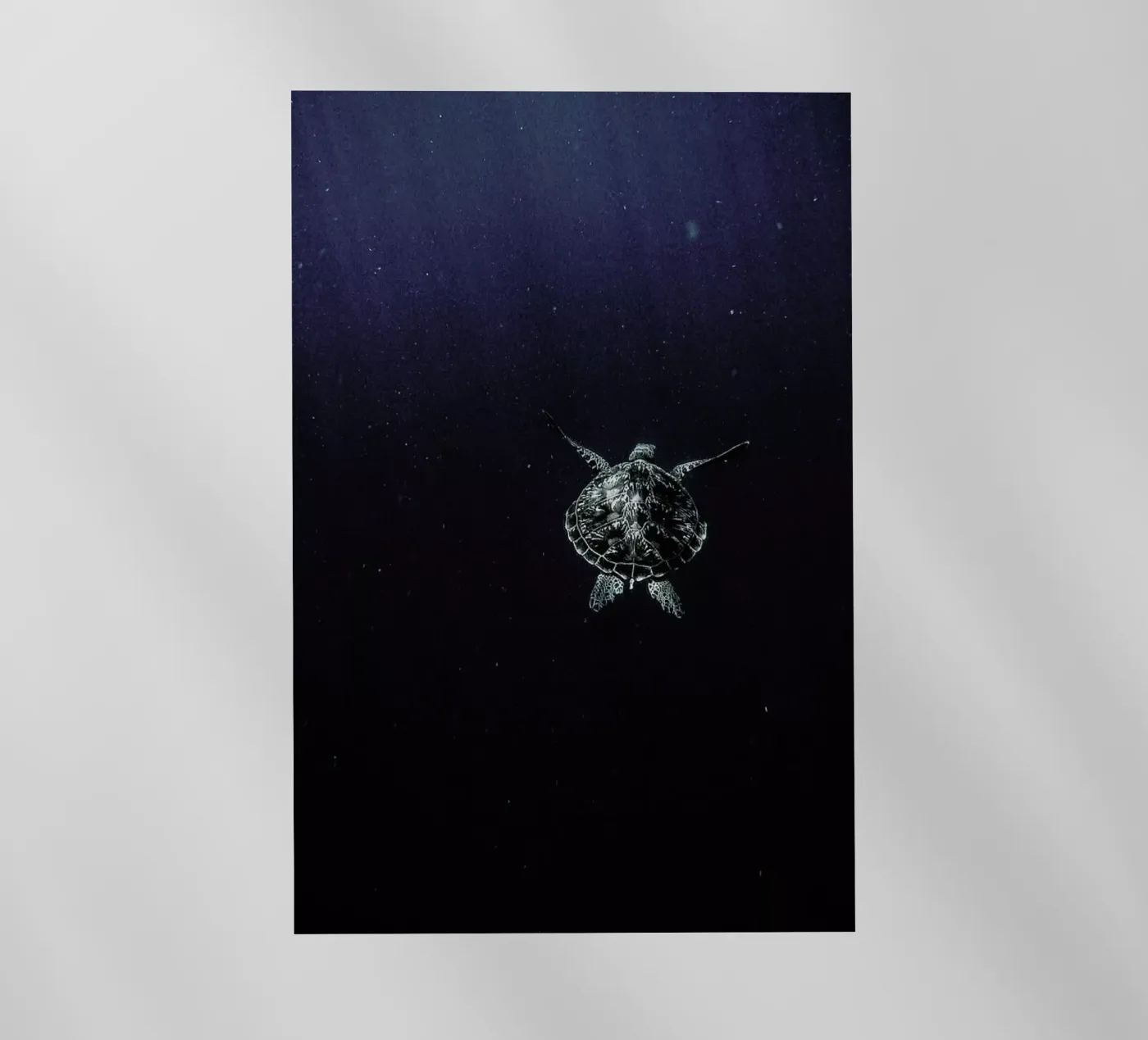 Flying pellicola backlit da Chris Abatzis