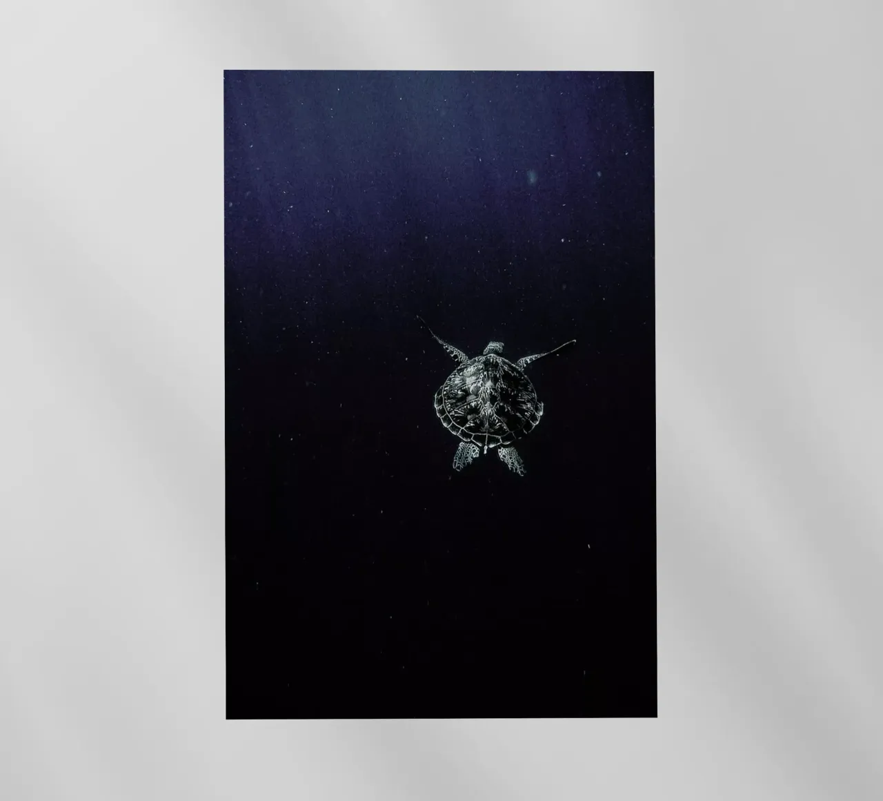 Flying pellicola backlit da Chris Abatzis