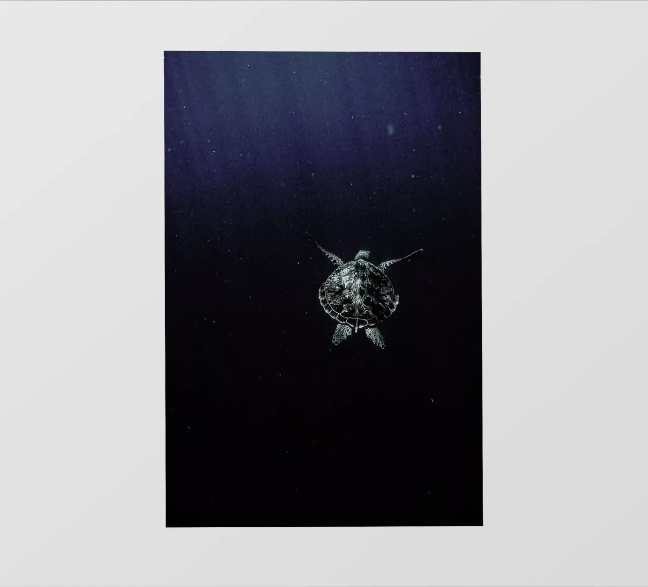 Flying pellicola backlit da Chris Abatzis