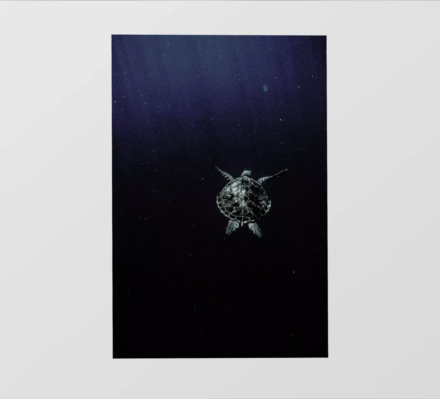 Flying pellicola backlit da Chris Abatzis