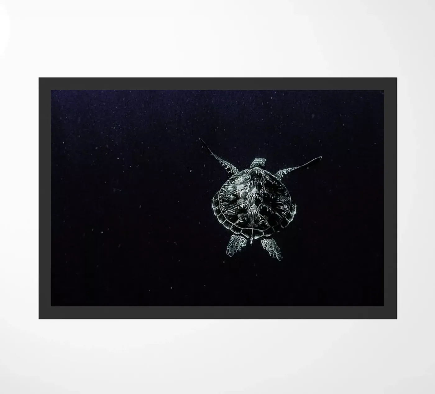 Flying doormat by Chris Abatzis