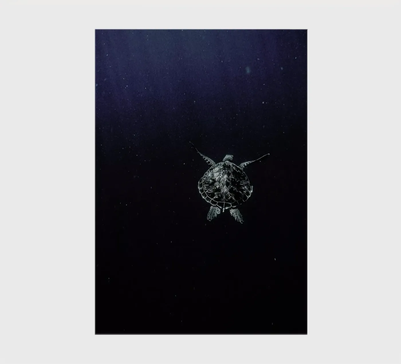 Flying notebook by Chris Abatzis