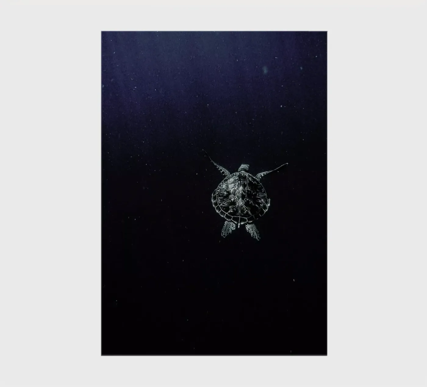 Flying notebook by Chris Abatzis
