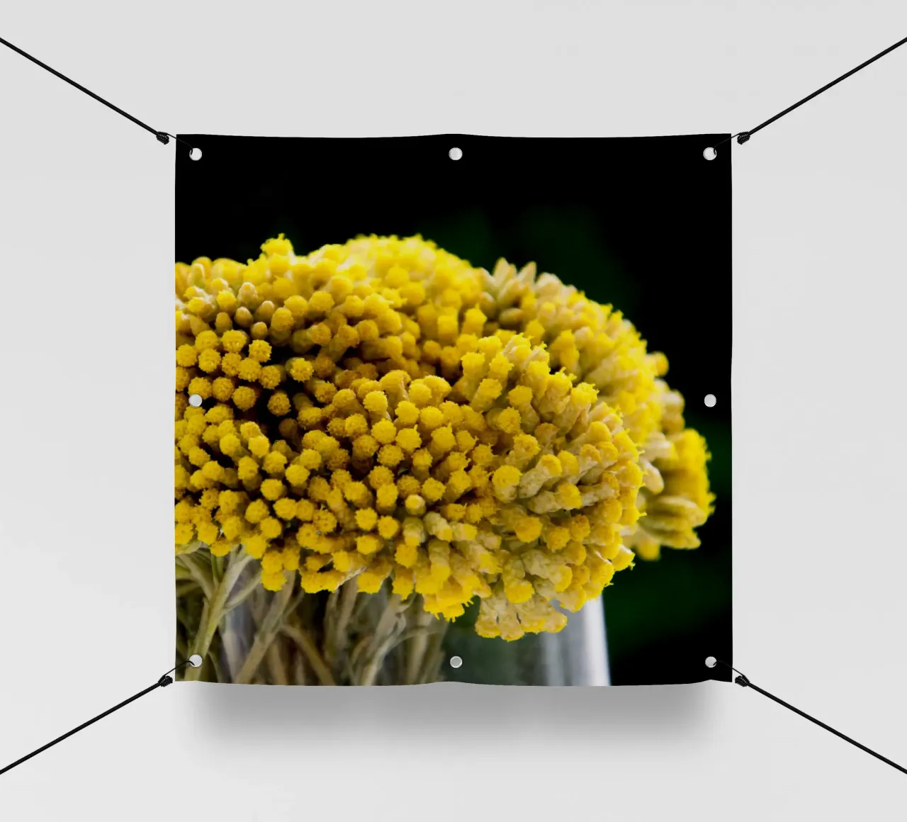 Fiori di curry I telo in pvc da Teresa André