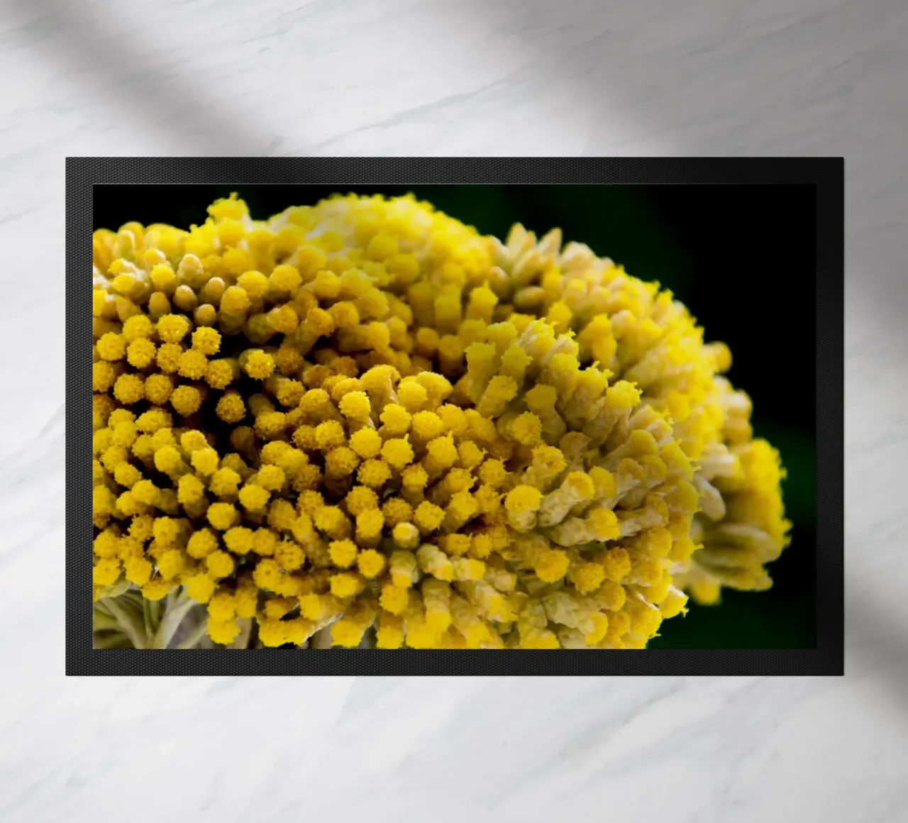 Fiori di curry I zerbino da Teresa André