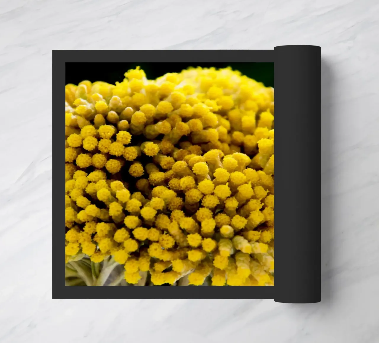 Fiori di curry I zerbino da Teresa André