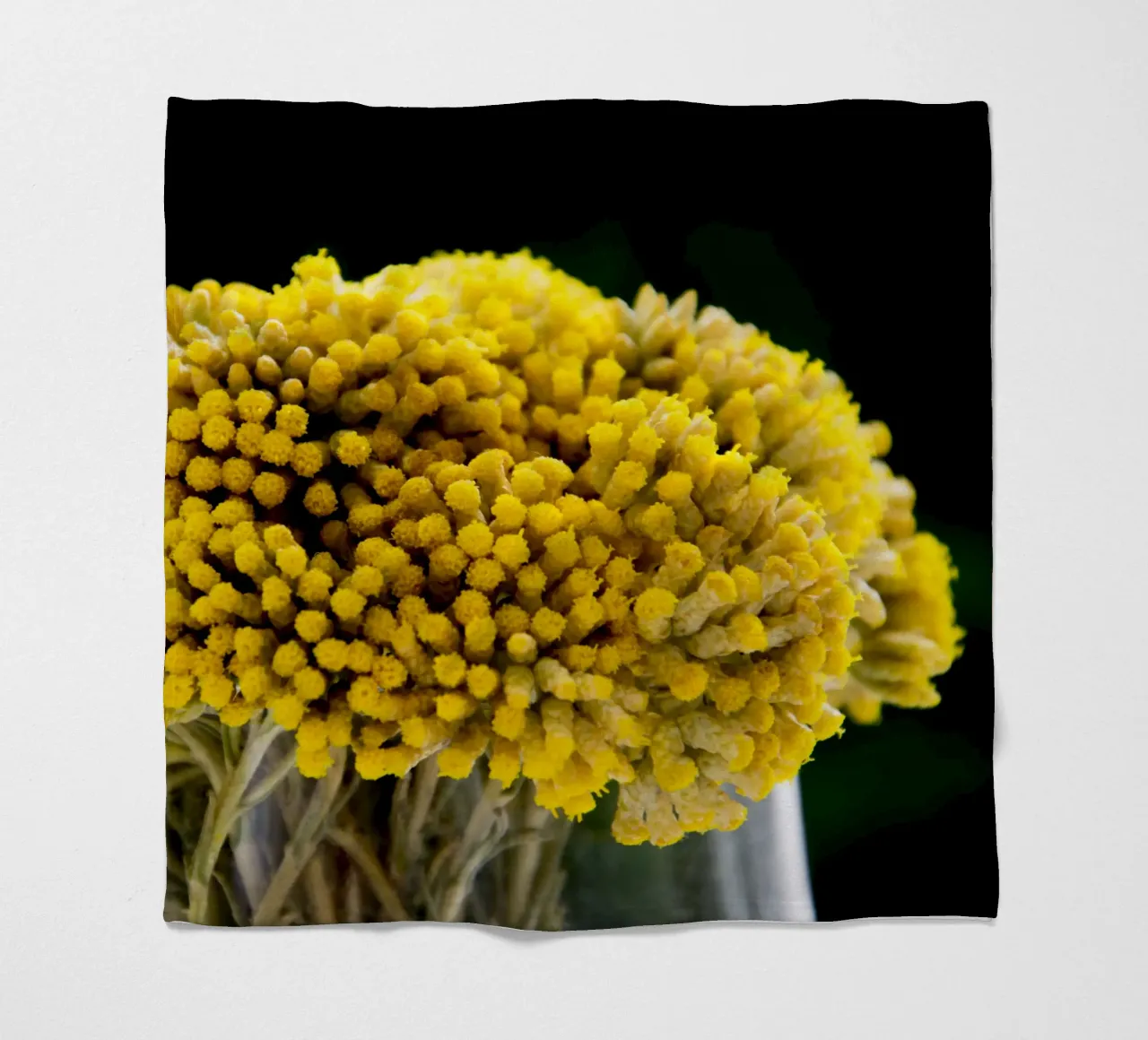 Fiori di curry I coperta in pile da Teresa André
