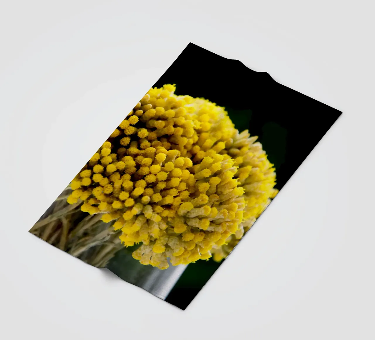 Fiori di curry I coperta in pile da Teresa André
