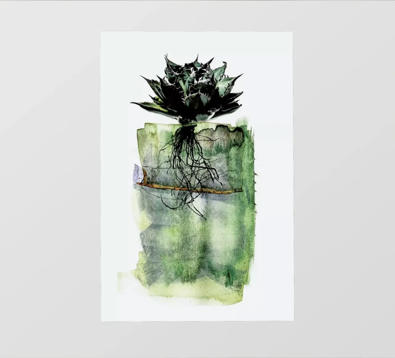 Agave telo in pvc da Shot By Clint