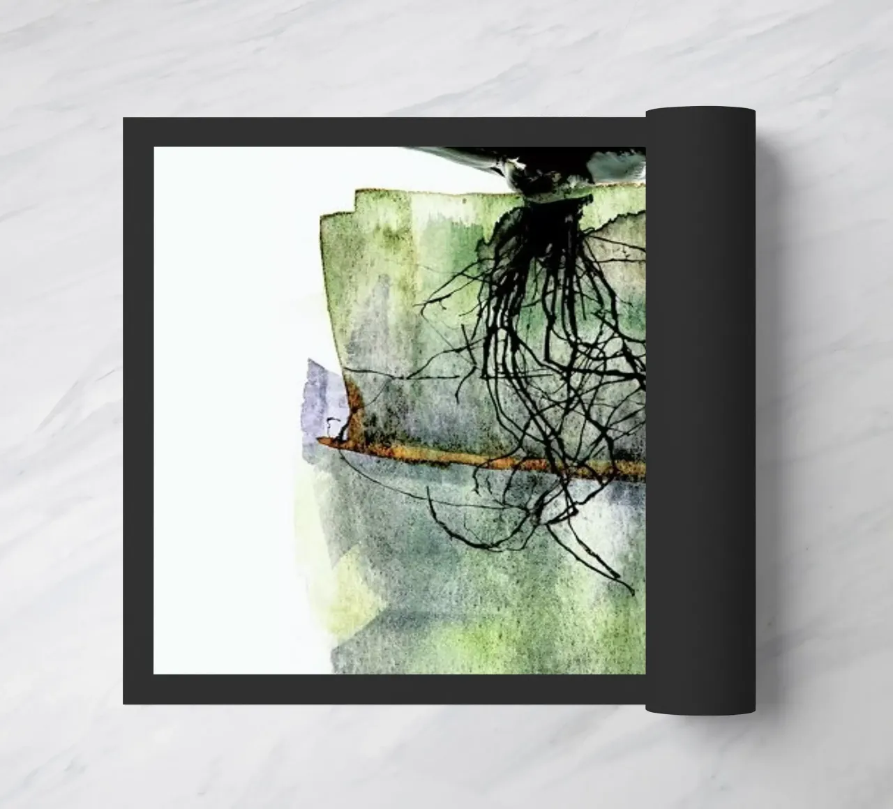 Agave zerbino da Shot By Clint