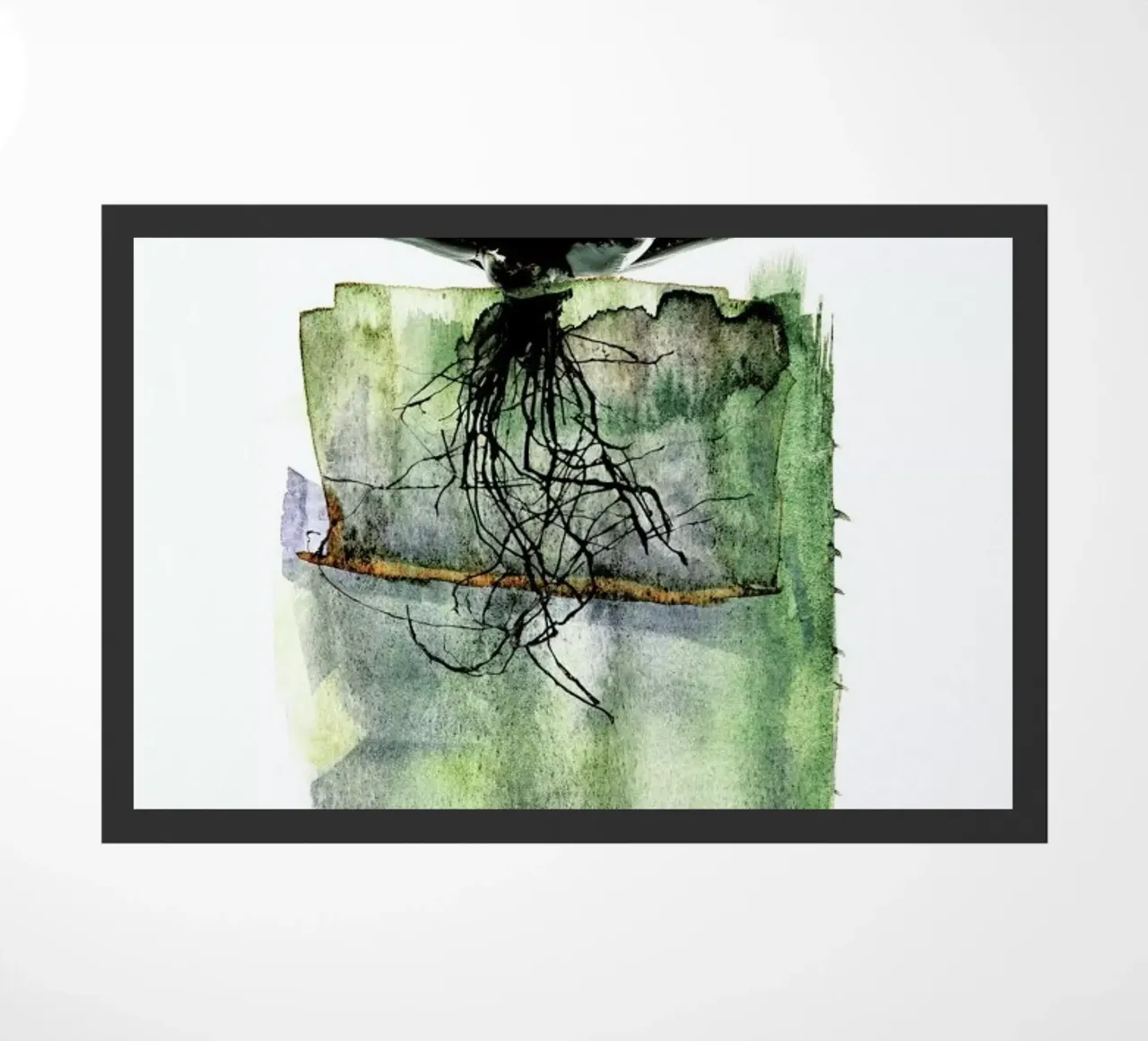 Agave zerbino da Shot By Clint