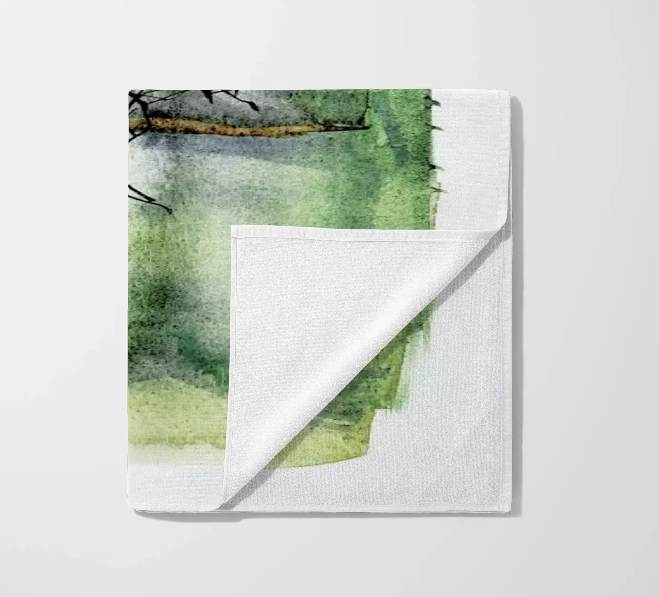 Agave telo mare da Shot By Clint