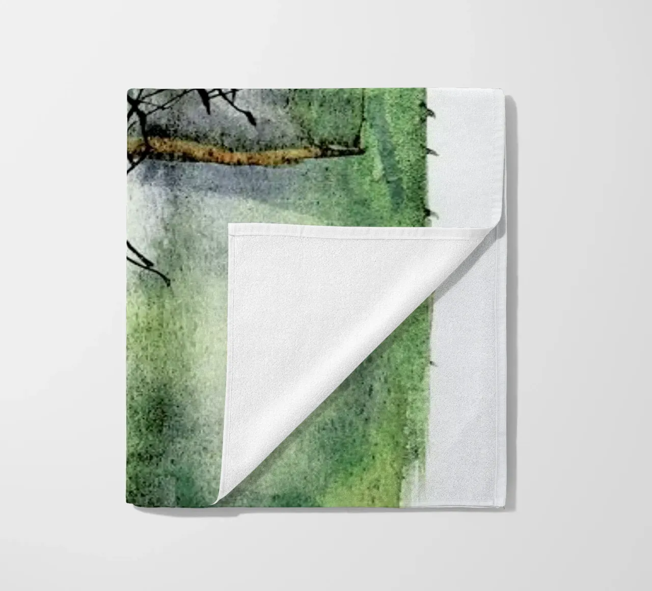 Agave telo mare da Shot By Clint