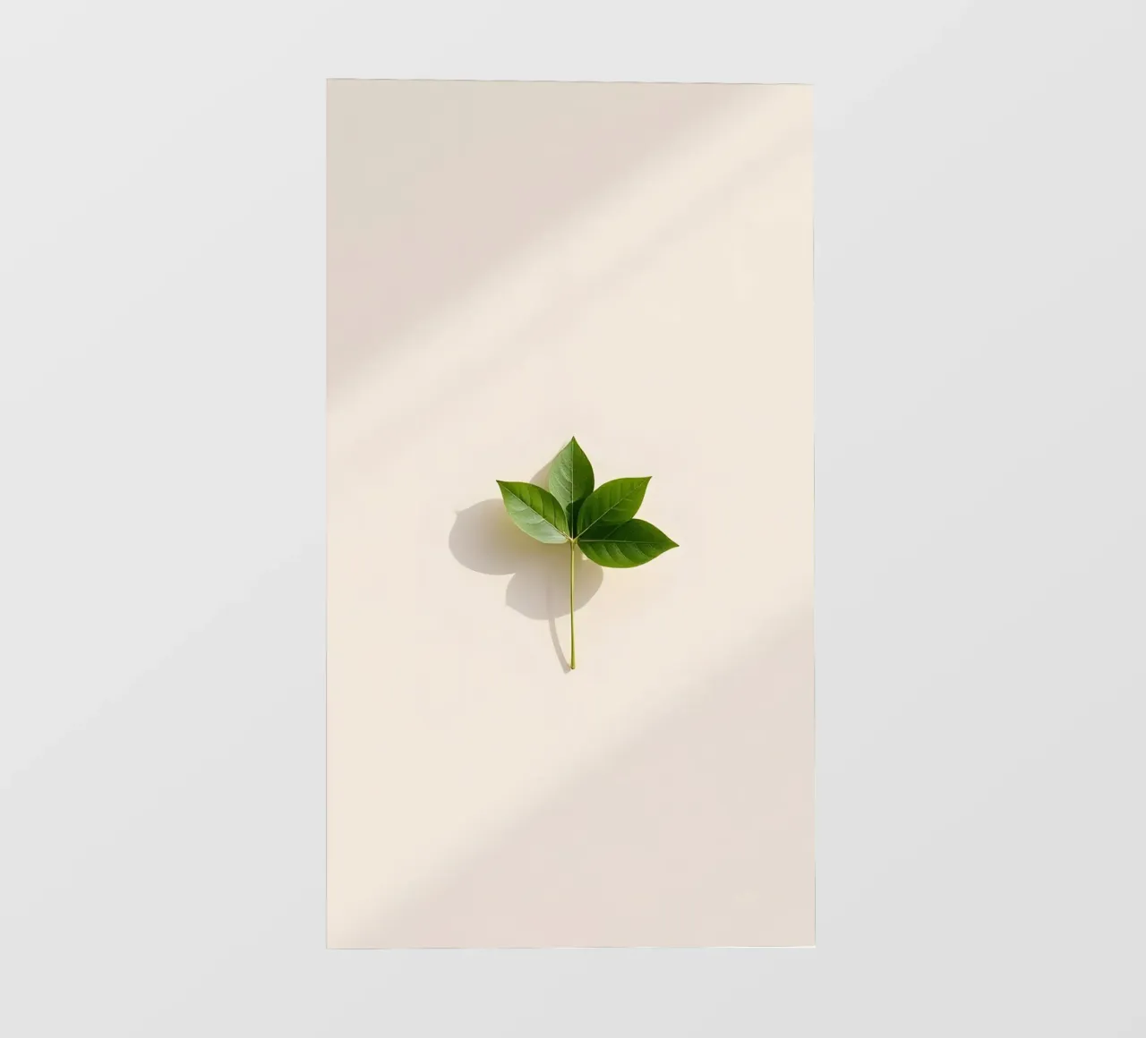fiore minimale telo in pvc da mazzihanq