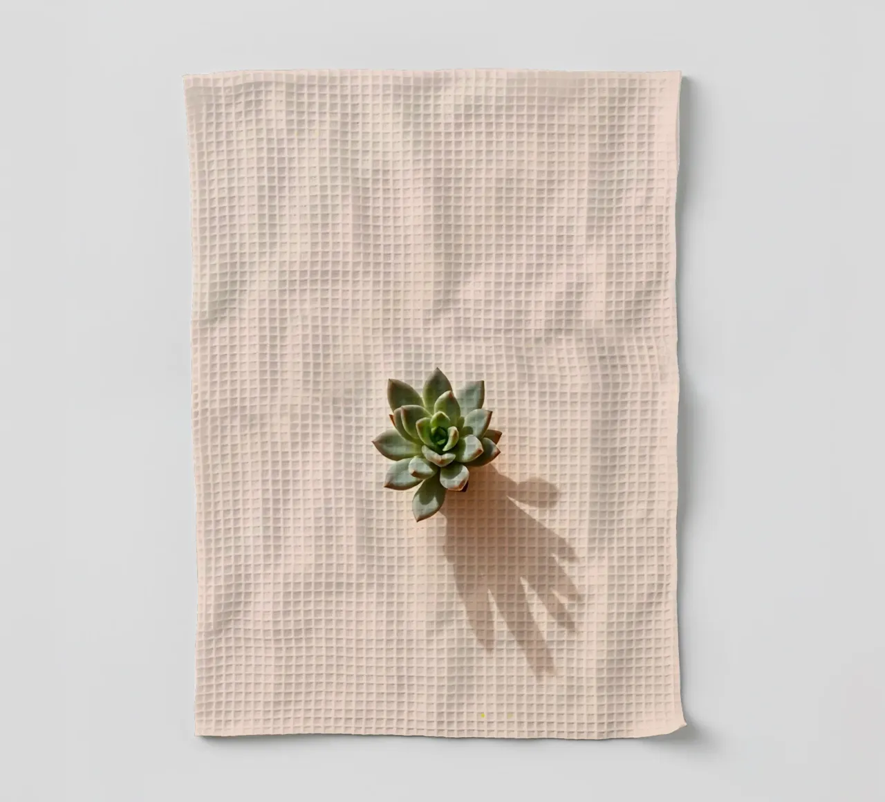 fiore minimale canovaccio da cucina da mazzihanq