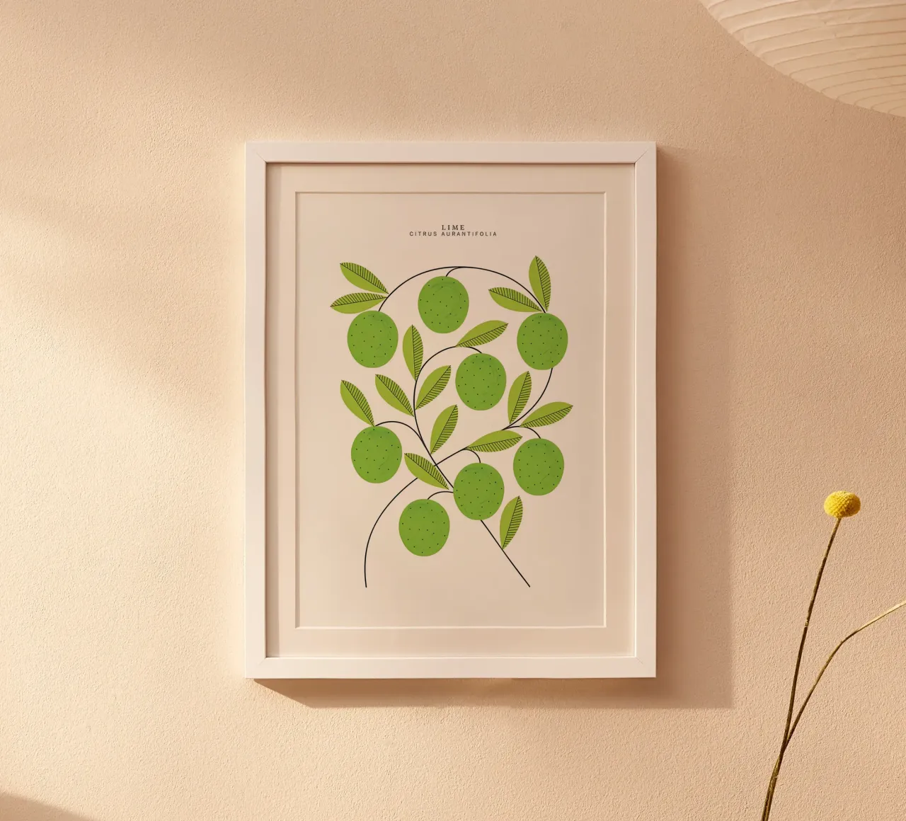 Limas Print hahnemühle de khoaimi