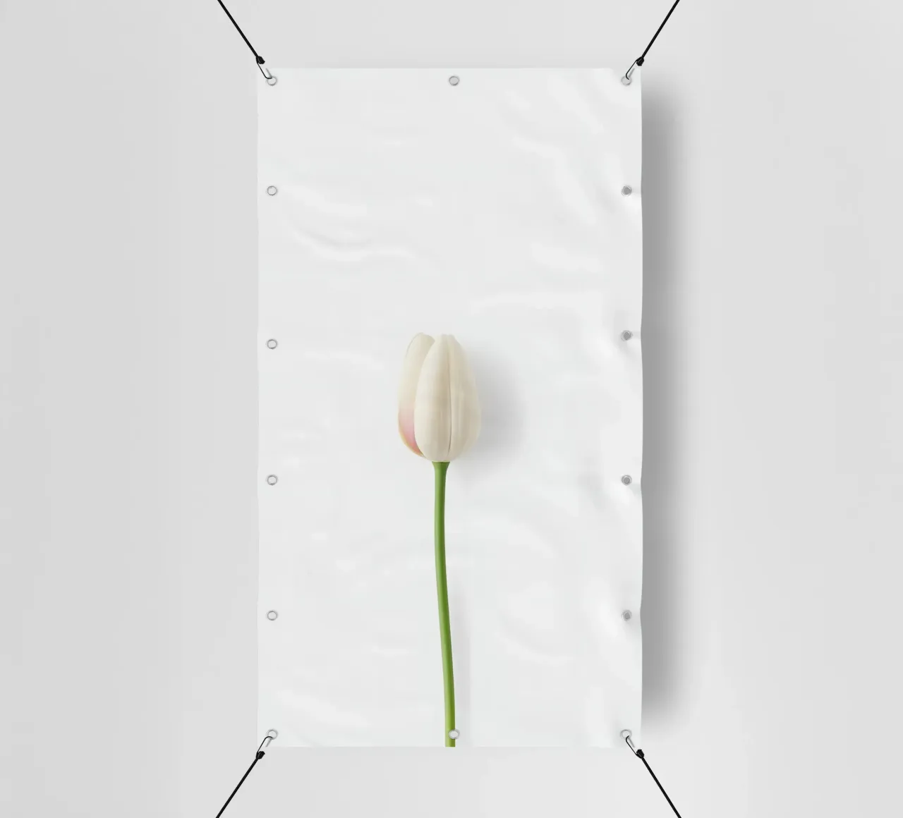 fiore minimale telo in pvc da mazzihanq