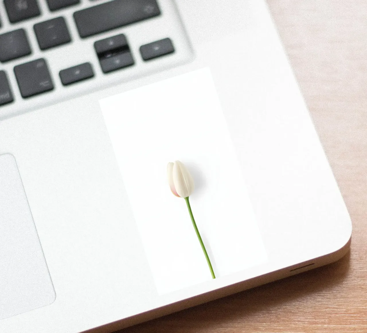 flower minimalsm sticker by mazzihanq