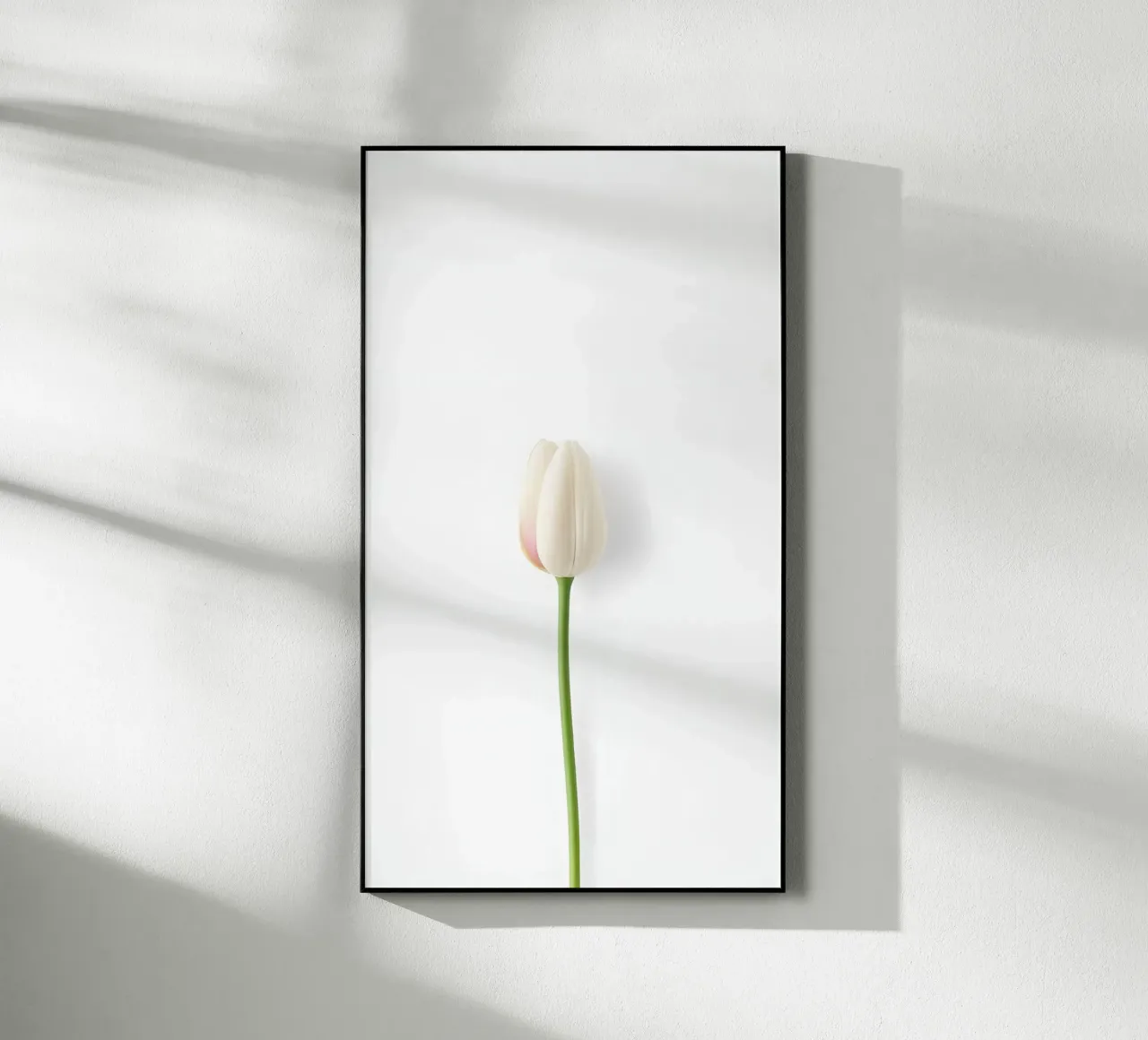 fiore minimale plexiglass da mazzihanq