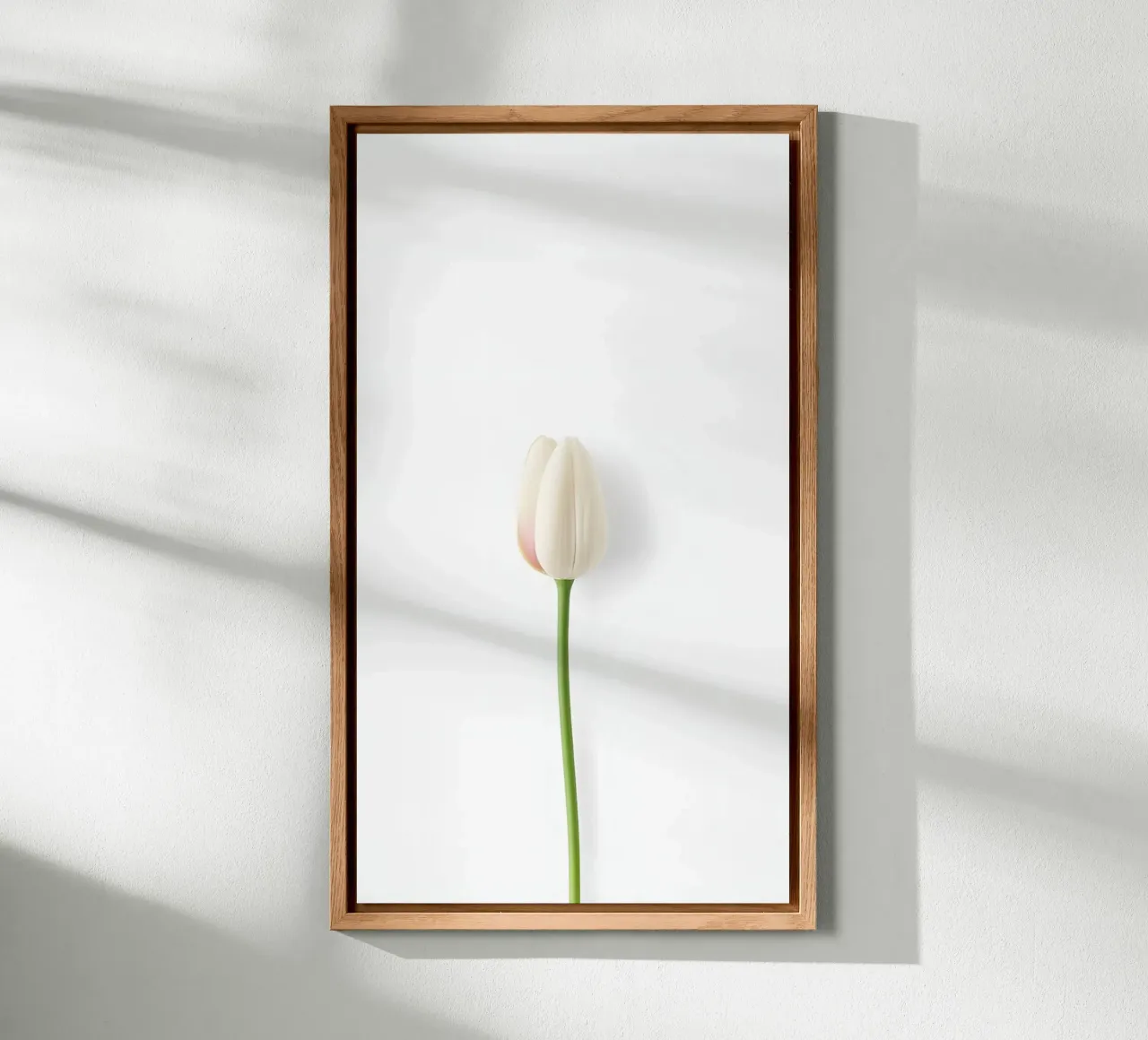 Blumenminimalismus Forex-Platte von mazzihanq