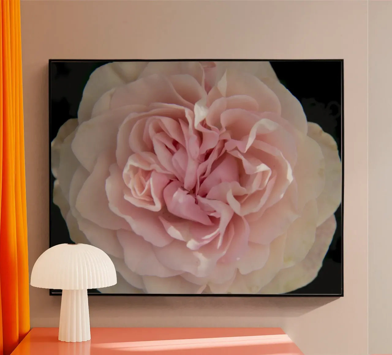 Rosa pallido plexiglass da Teresa André