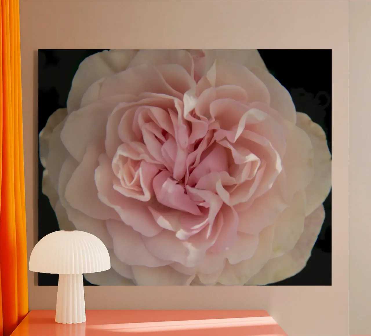 Rosa pallido plexiglass da Teresa André