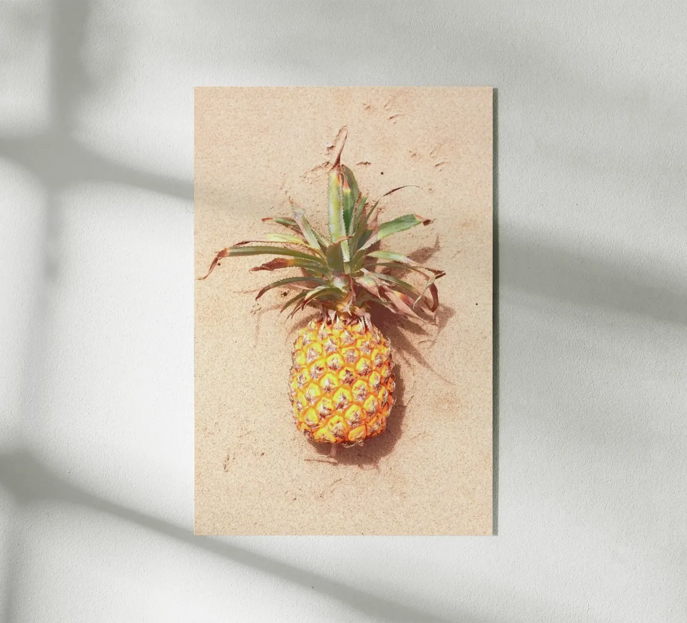 Tropitone acrylic glass by Ballack Art House