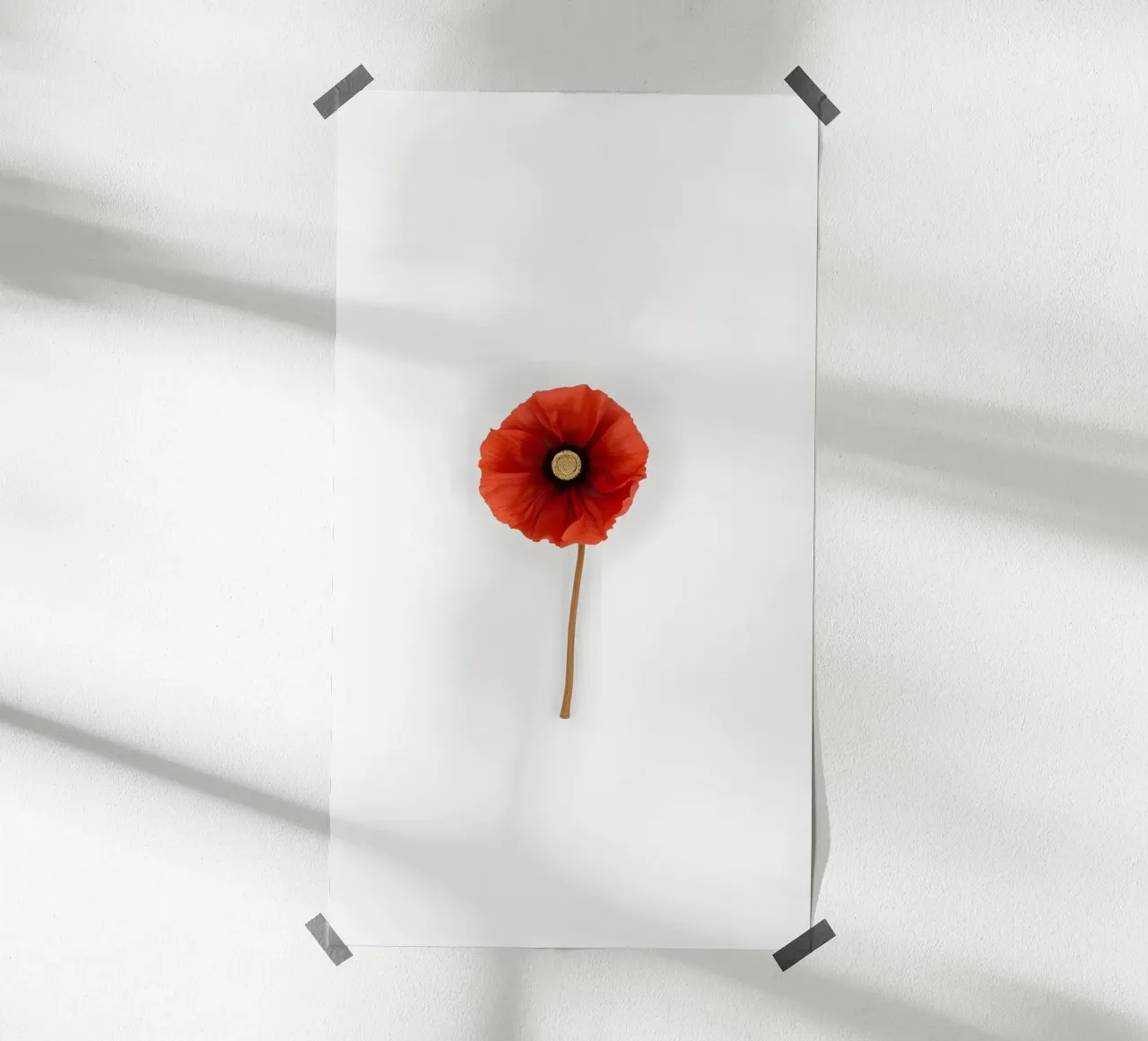 Minimalismo floreale poster da mazzihanq