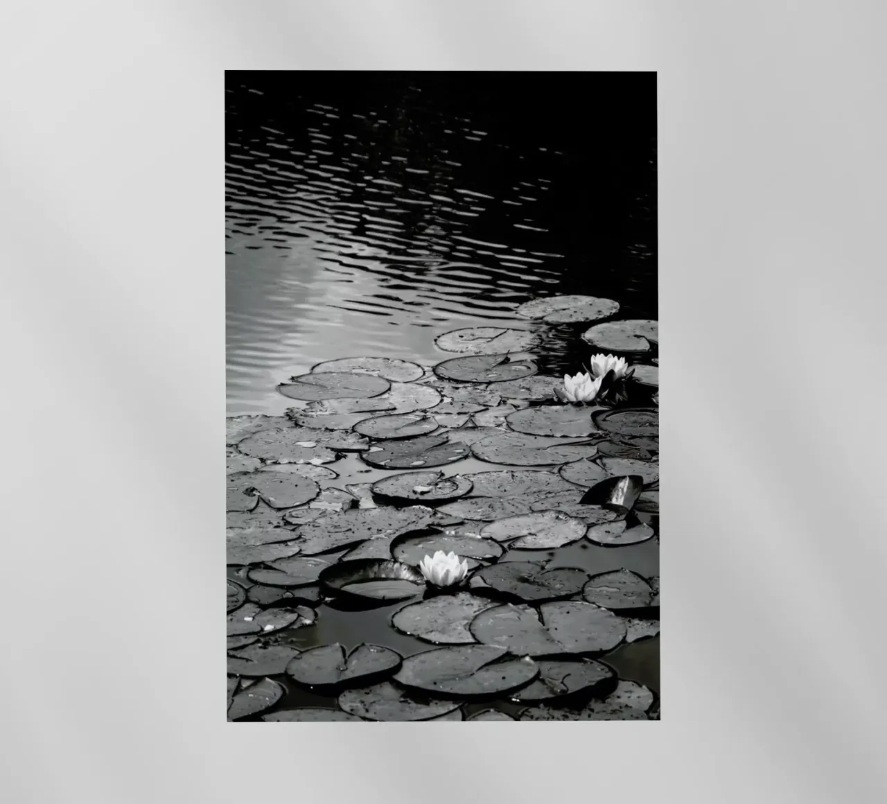 Floating on the Water pellicola backlit da Studio Nahili