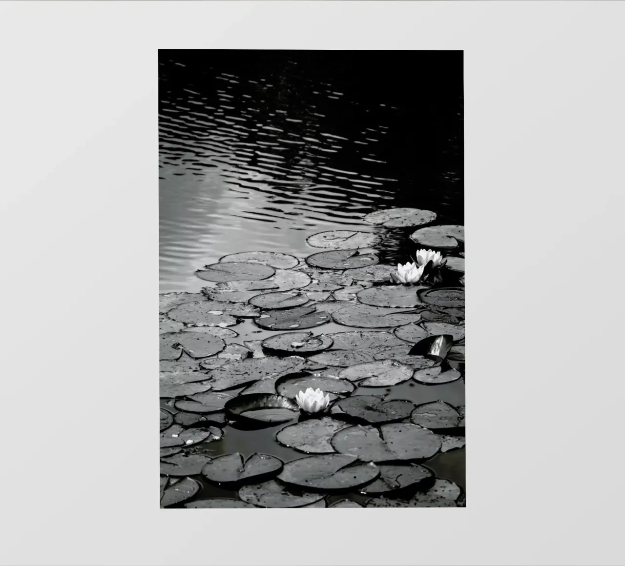 Floating on the Water pellicola backlit da Studio Nahili