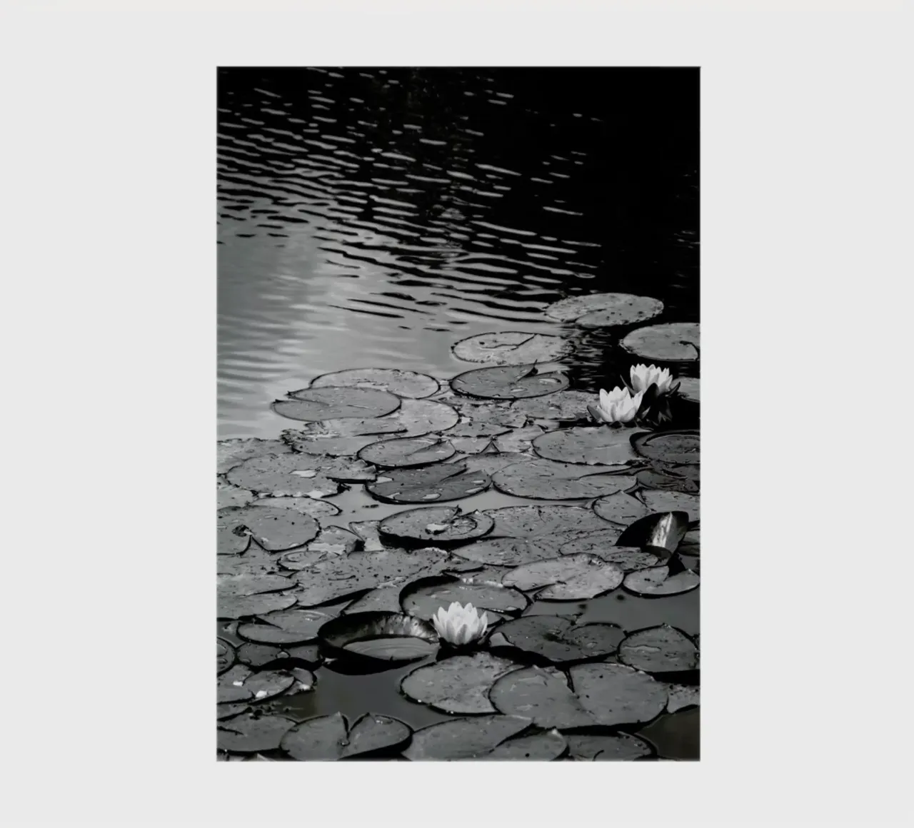Floating on the Water notebook by Studio Nahili