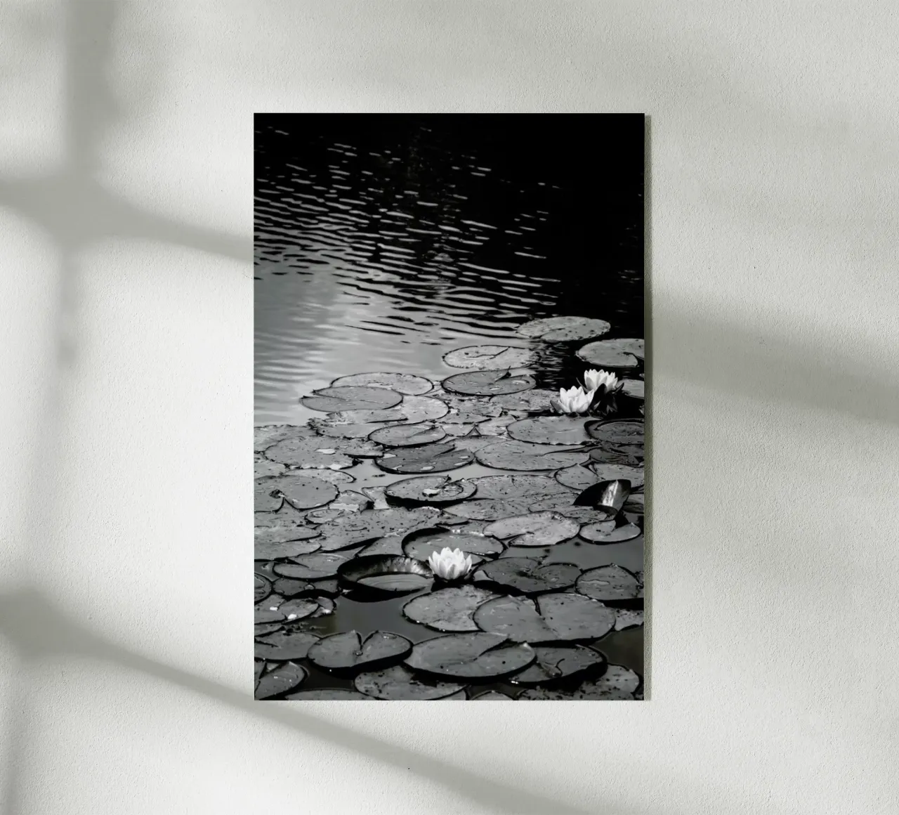 Floating on the Water plexiglass da Studio Nahili