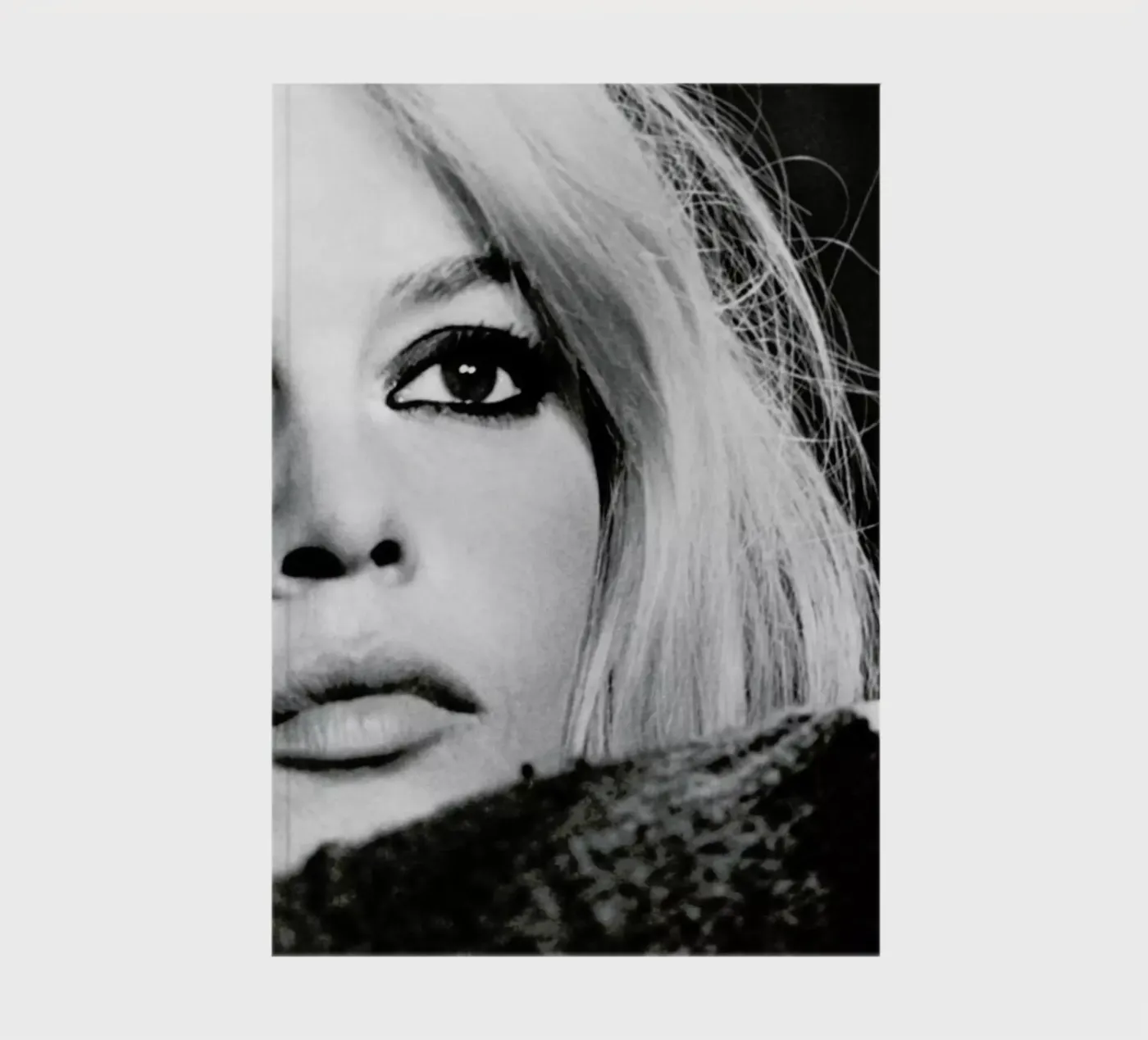 Brigitte Bardot 4 notebook by Gallery Print and Art Limited