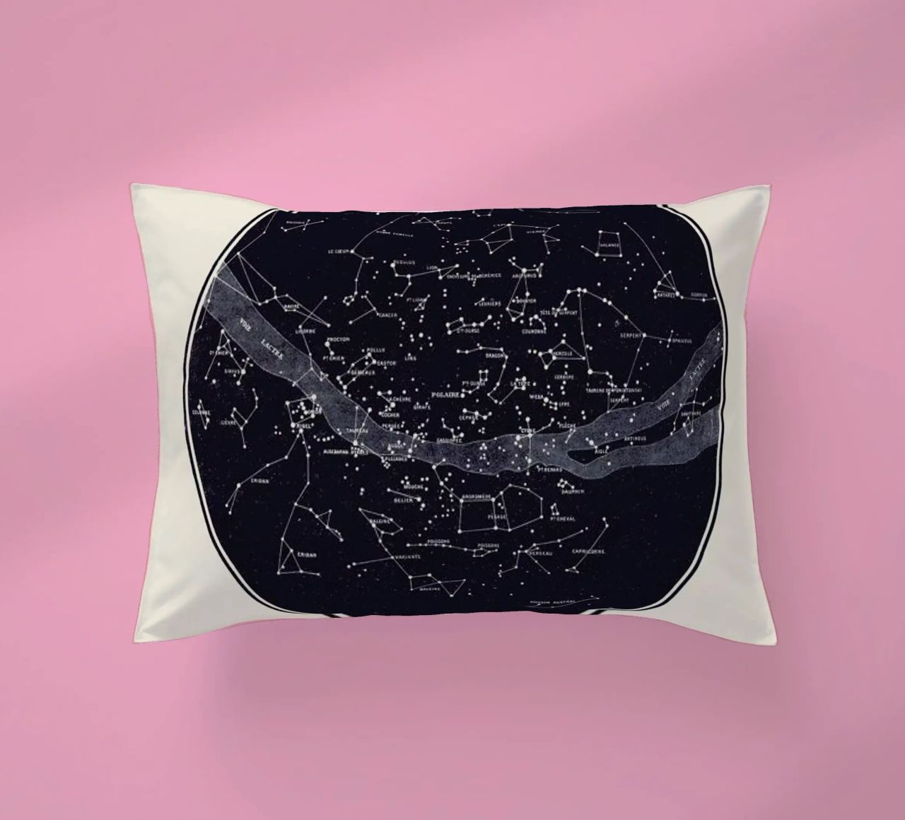 Carte du Ciel coussin de Astër