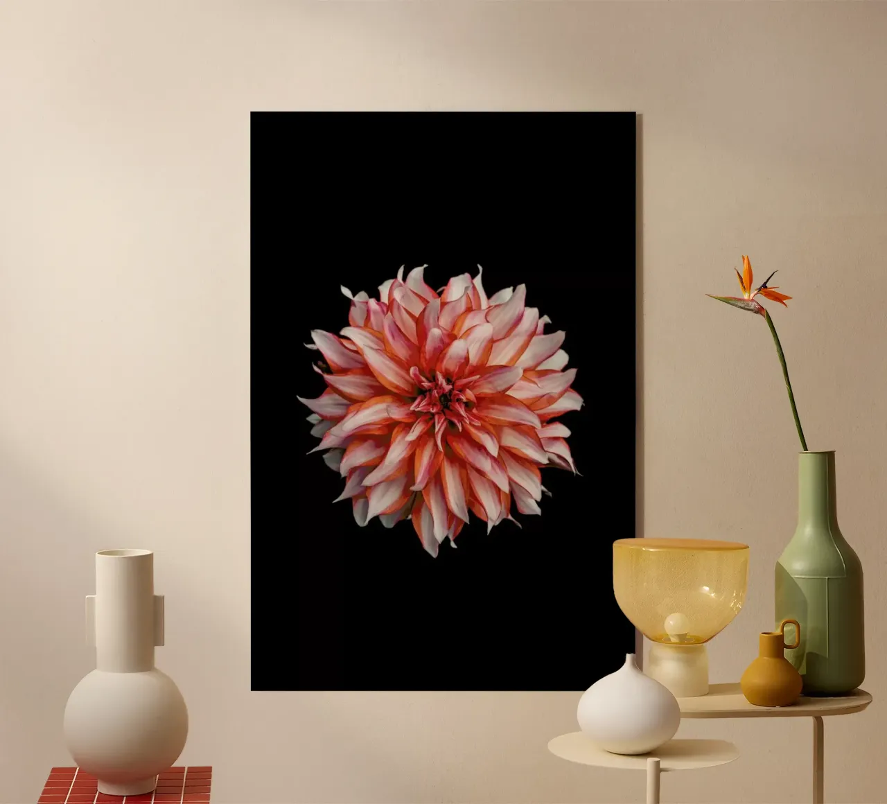 Devil Dahlia plexiglass da Curious Collections by Marielle Leenders