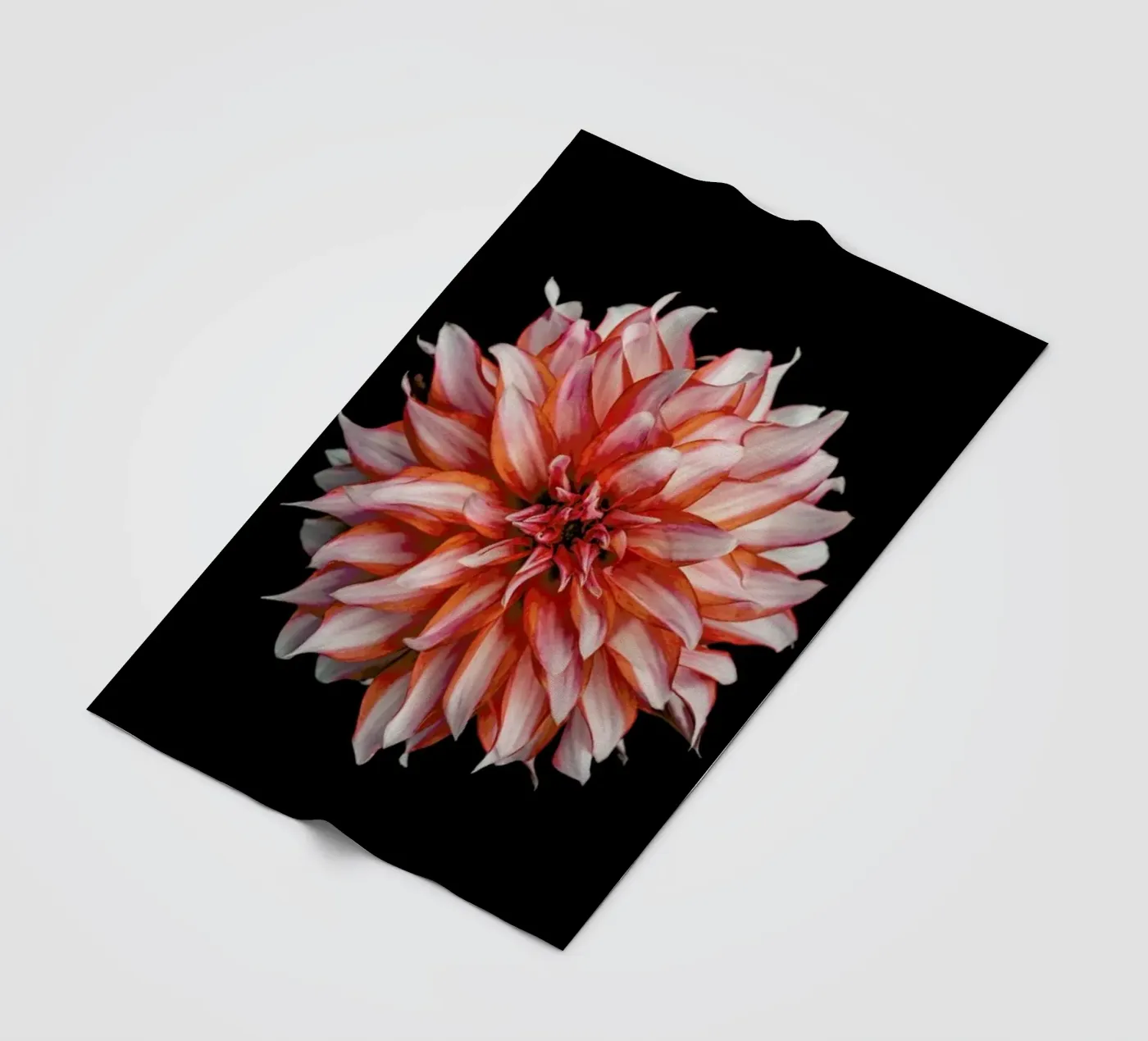 Devil Dahlia fleece blanket by Curious Collections by Marielle Leenders
