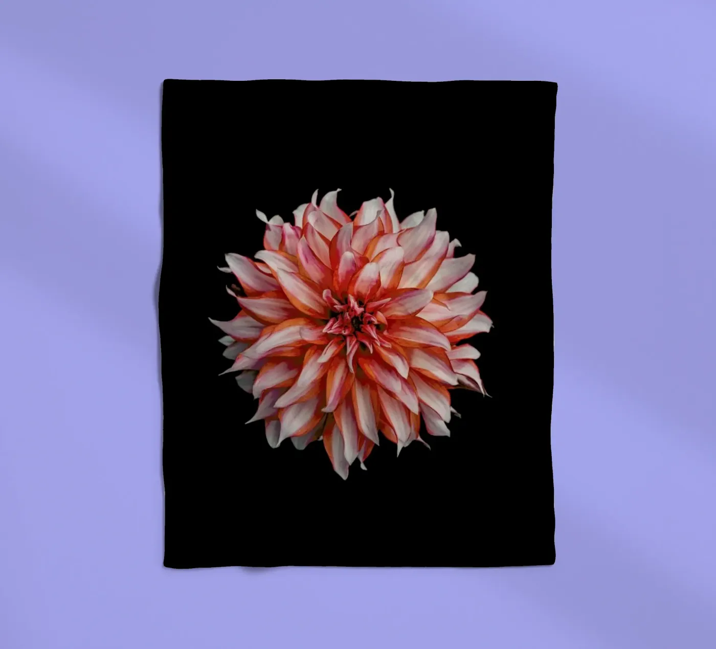 Devil Dahlia fleece blanket by Curious Collections by Marielle Leenders