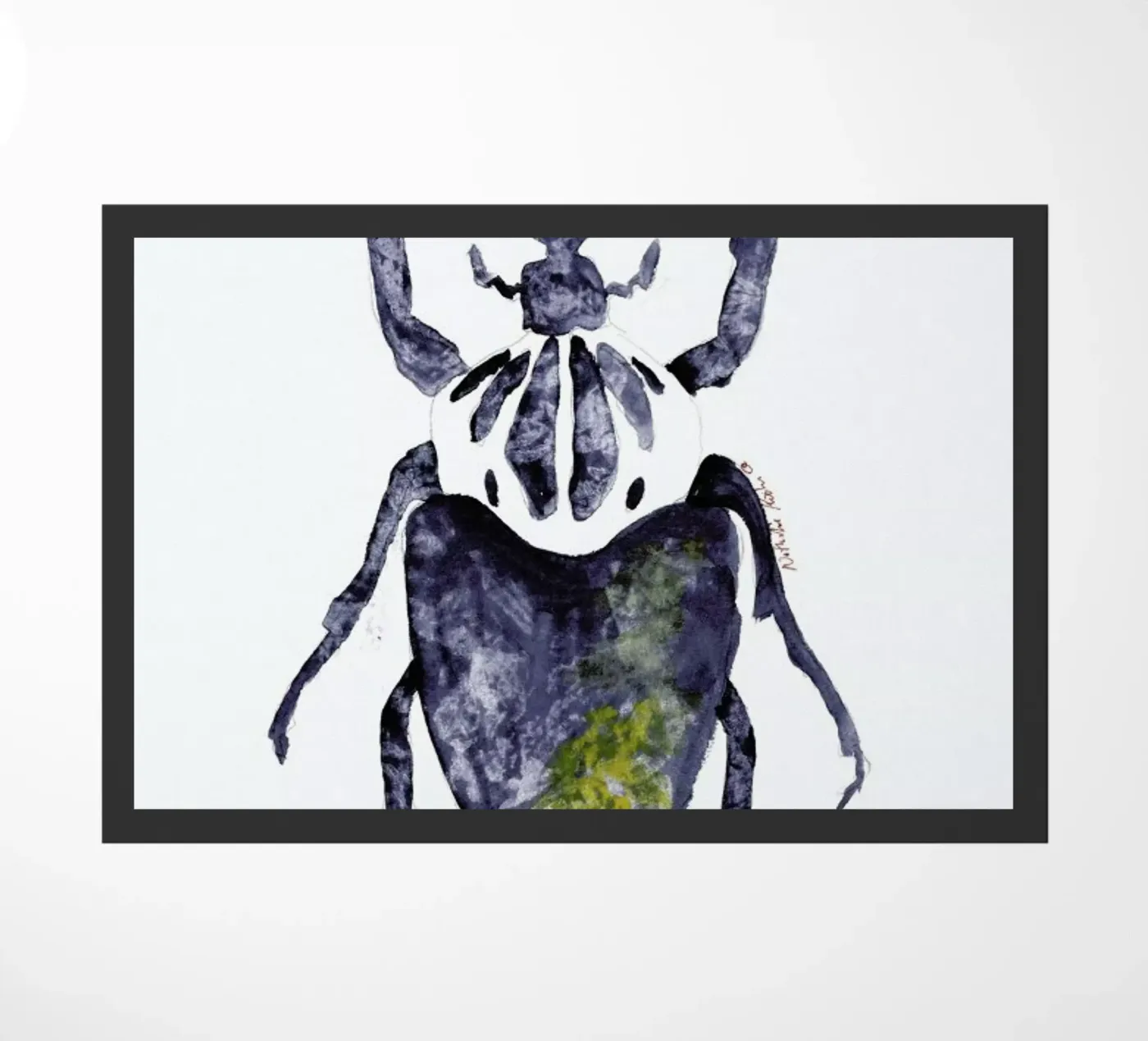 The Old Beetle zerbino da Nathys_illustration