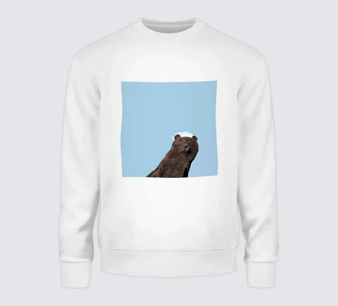 Bear felpa da Rafael Burato