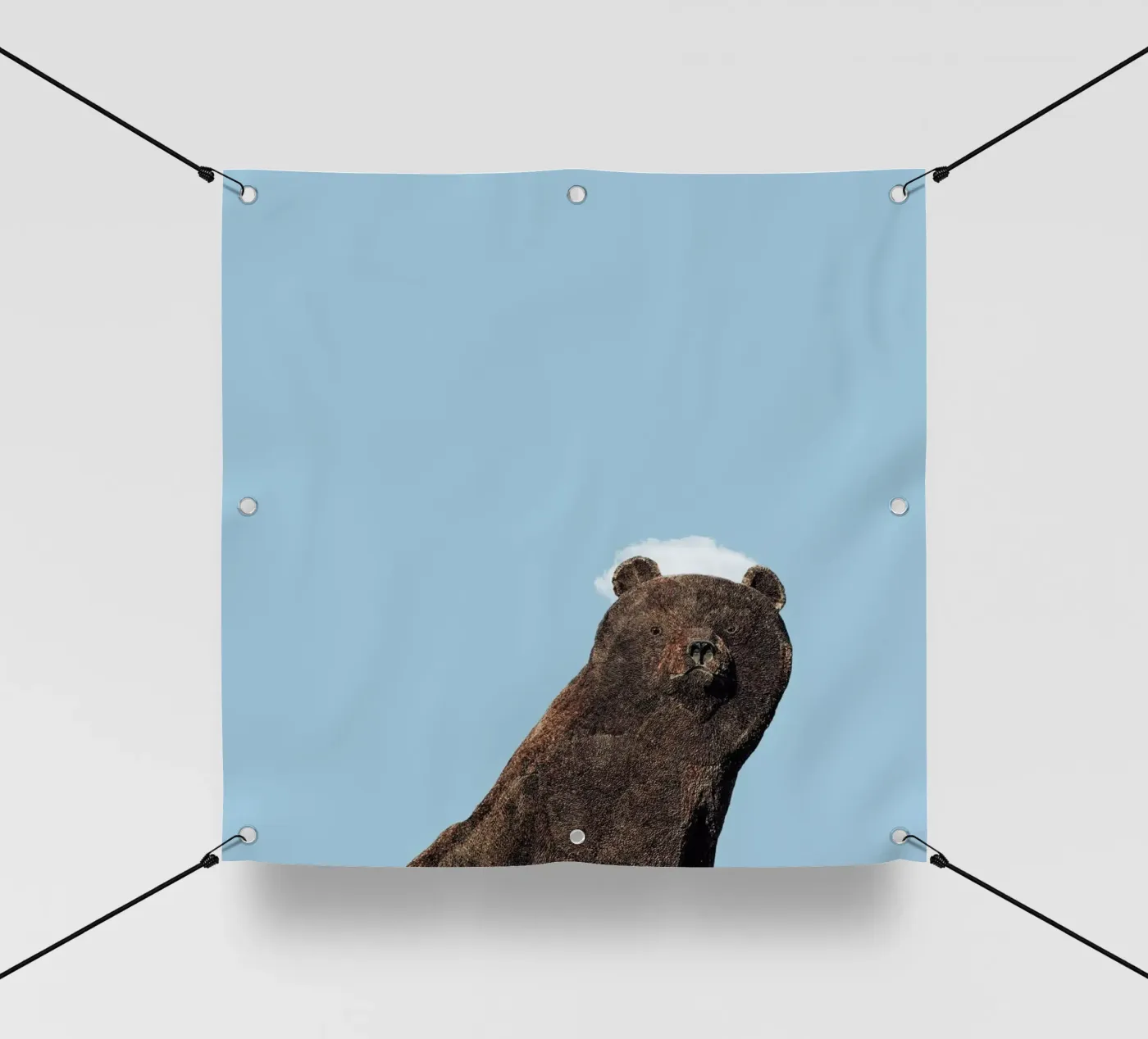 Bear telo in pvc da Rafael Burato