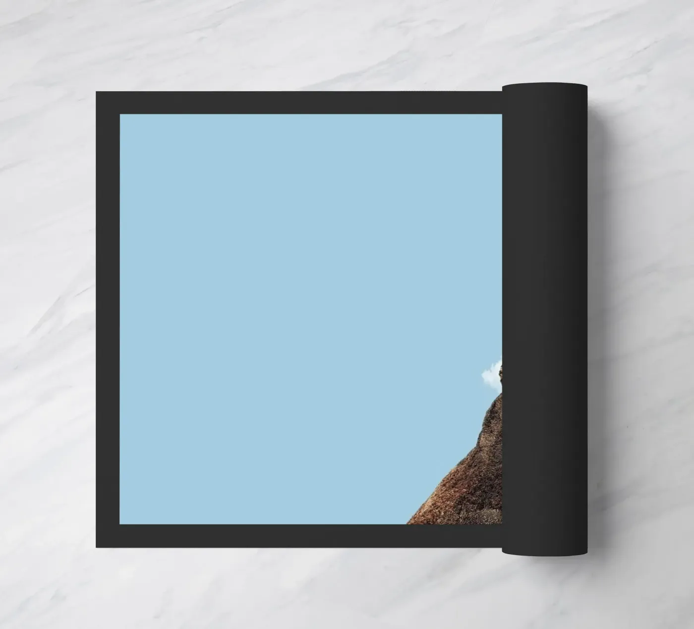 Bear deurmat van Rafael Burato