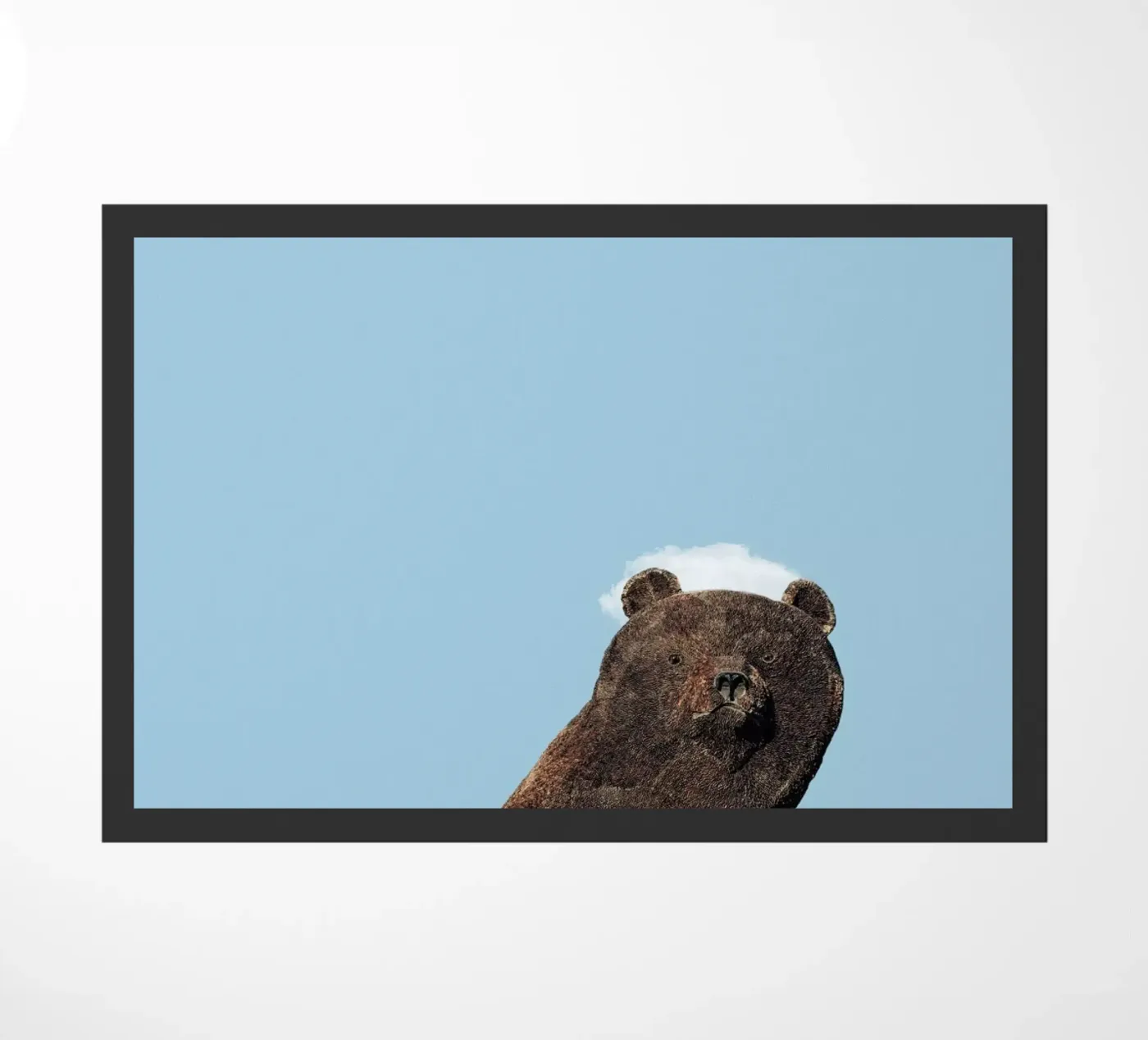 Bear zerbino da Rafael Burato