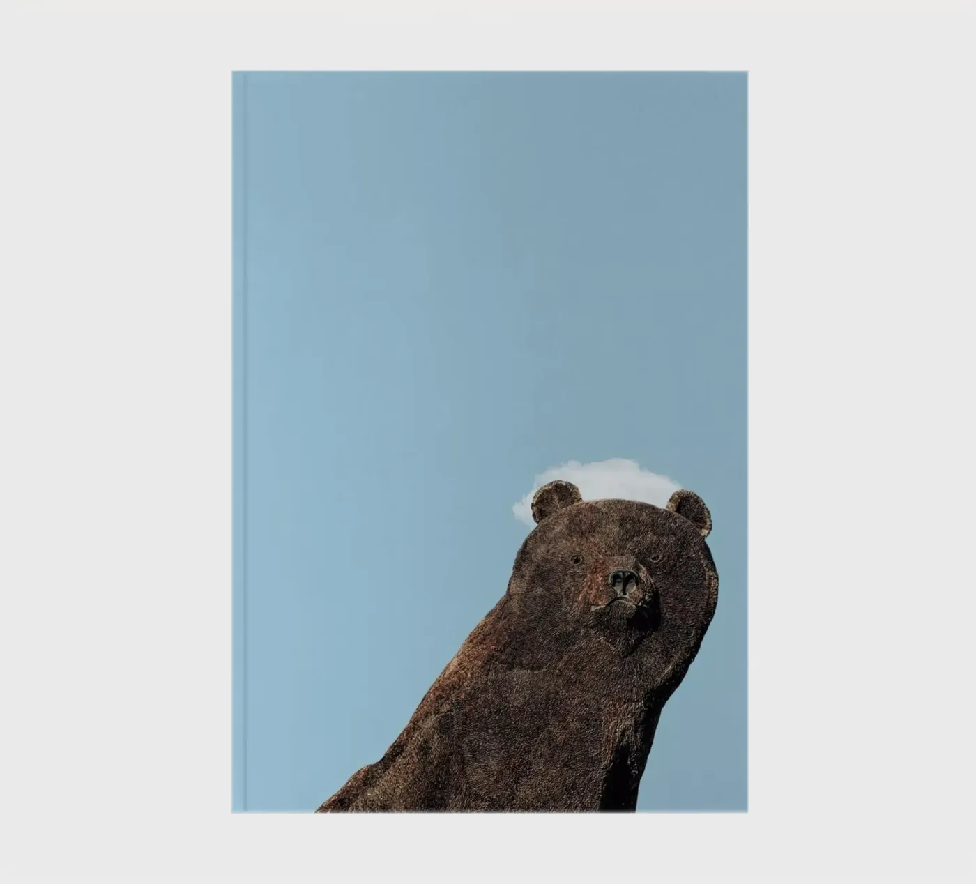 Bear notebook by Rafael Burato